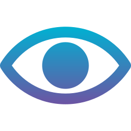 vision2